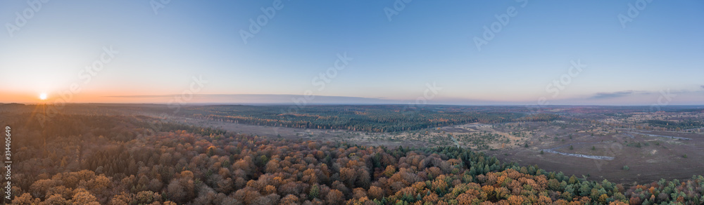 Aerial panoramic drone shot of Luneberg Heide forests pine trees forests woodland during sunset in autumn
