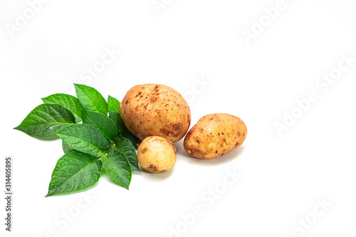 potato with leaf isolated on white