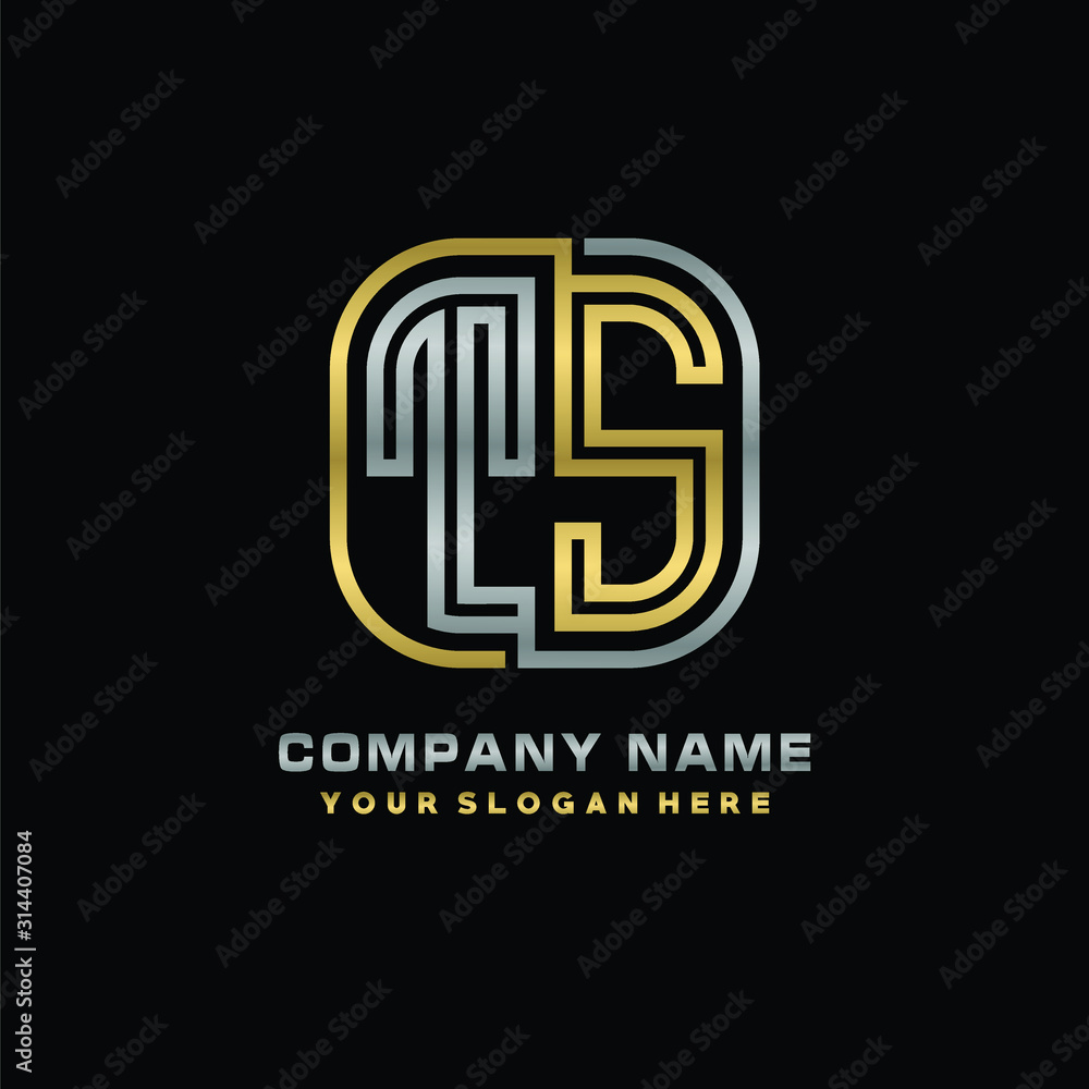 Obraz premium initial letter TS logo Abstract vector minimalist. letter logo gold and silver color