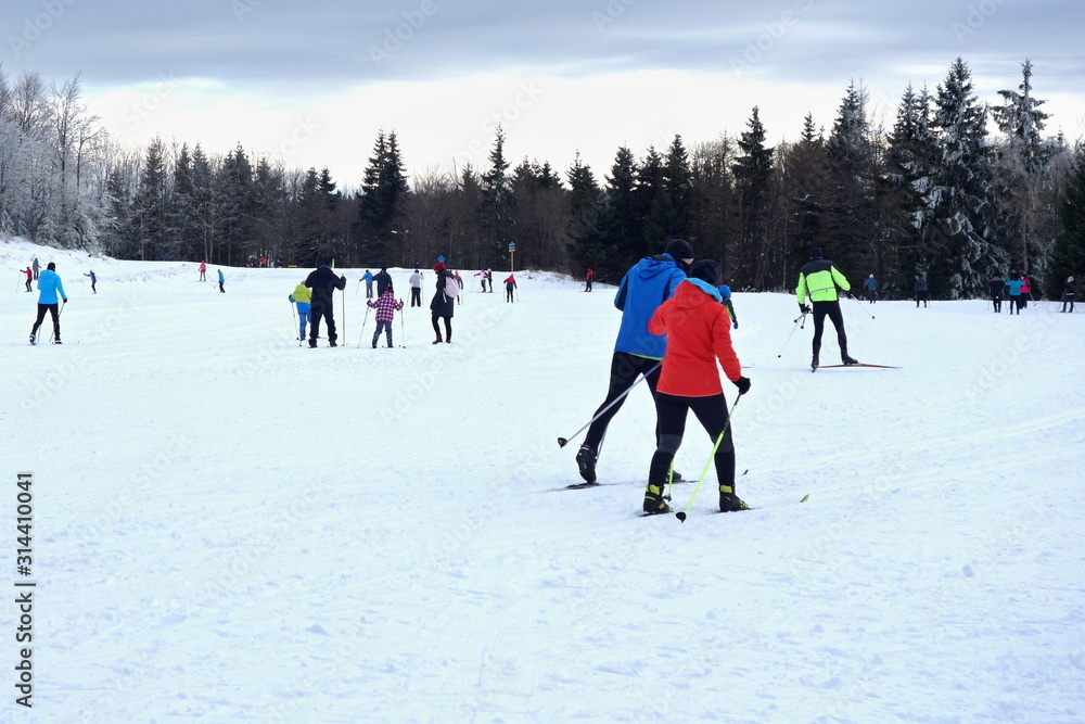 A group of people cross country skiing in a beautiful winter forest