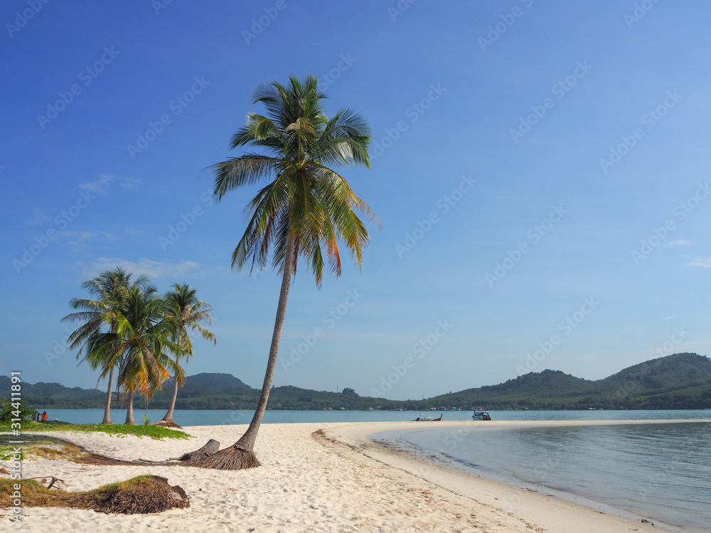 Fototapeta premium OLYMPUS DIGITAL CAMERA