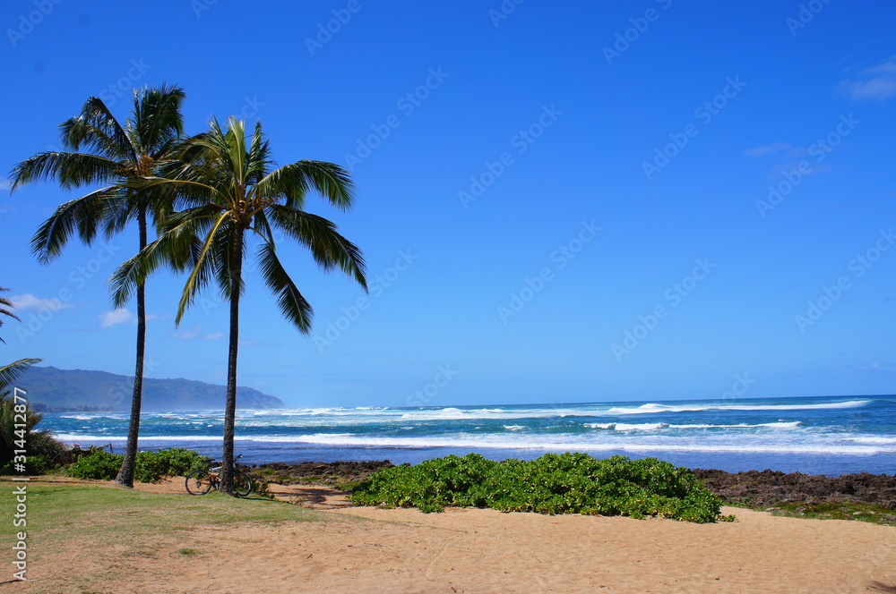 the landscape of north shore in hawaii