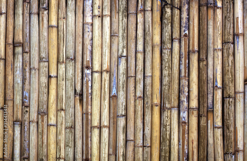 bamboo fence texture background - obrazy, fototapety, plakaty 