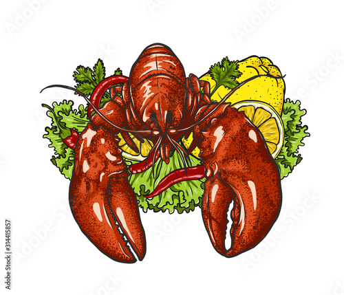 Lobster with lemon and vegetable on white background.boiled lobster vector art highly detailed in line art style.