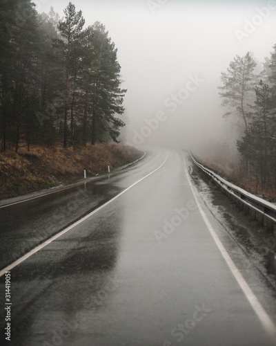 dark moist and wet from the rain green coniferous forest of pine trees on the sides of a wet asphalt road with white markings