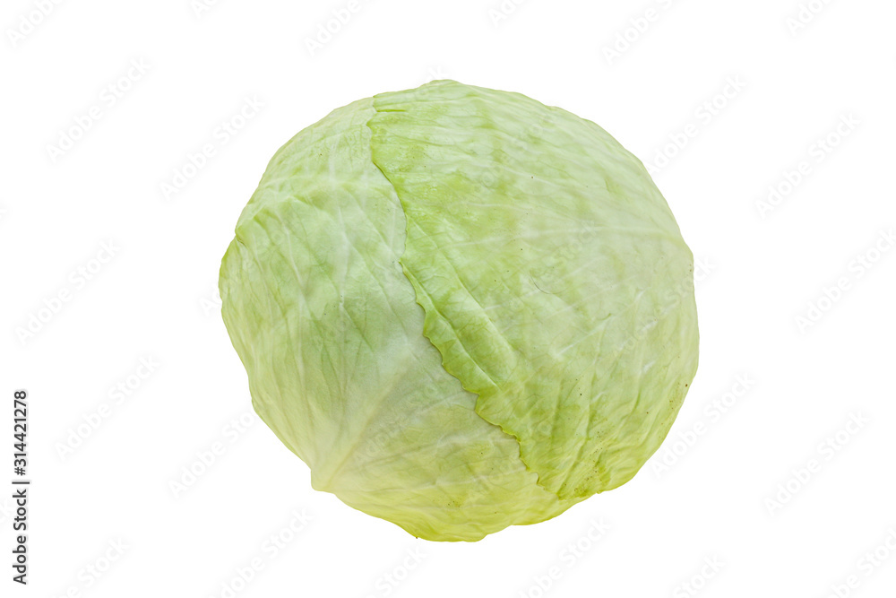 Fresh ripe cabbage ready for cooking Fresh ripe cabbage ready for cooking