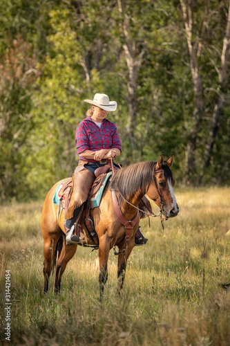 Cowgirl on Horse © Terri Cage 