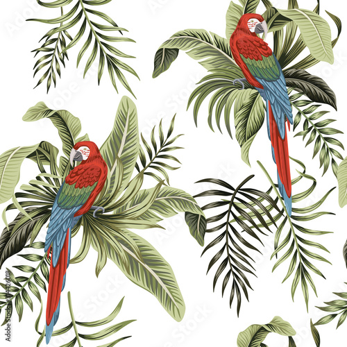  Tropical vintage macaw parrot, palm leaves, banana leaves floral seamless pattern white background. Exotic jungle wallpaper.