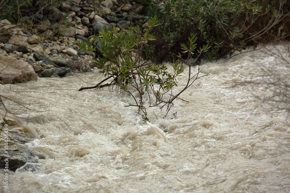 Wild river with dirty water after rain, flotas with high dangerous speed Wild river with dirty water after rain, flotas with high dangerous speed