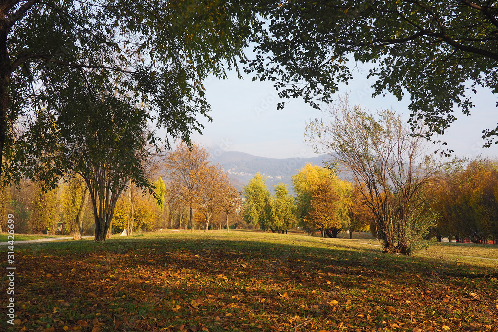 Autumn mood in public park near Bergamo, Italy.