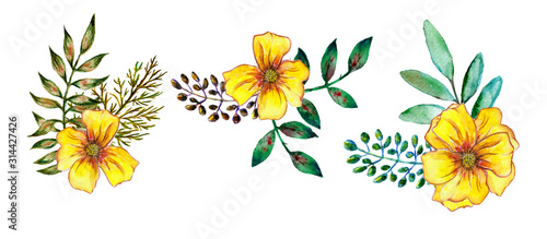 Set of yellow flowers with green leaves and twigs. Hand drawn watercolor illustration isolated on white background.