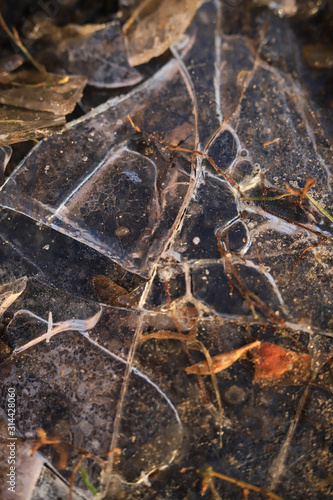 the grass in the cracked ice in the fall © Ирина Фроликова