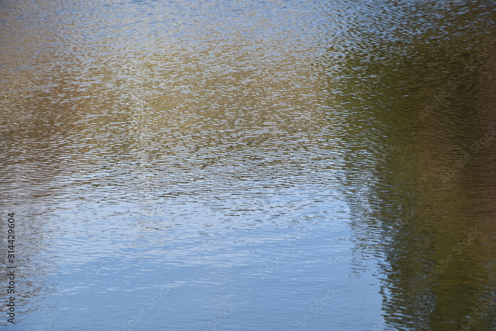 Fototapeta premium Wasser