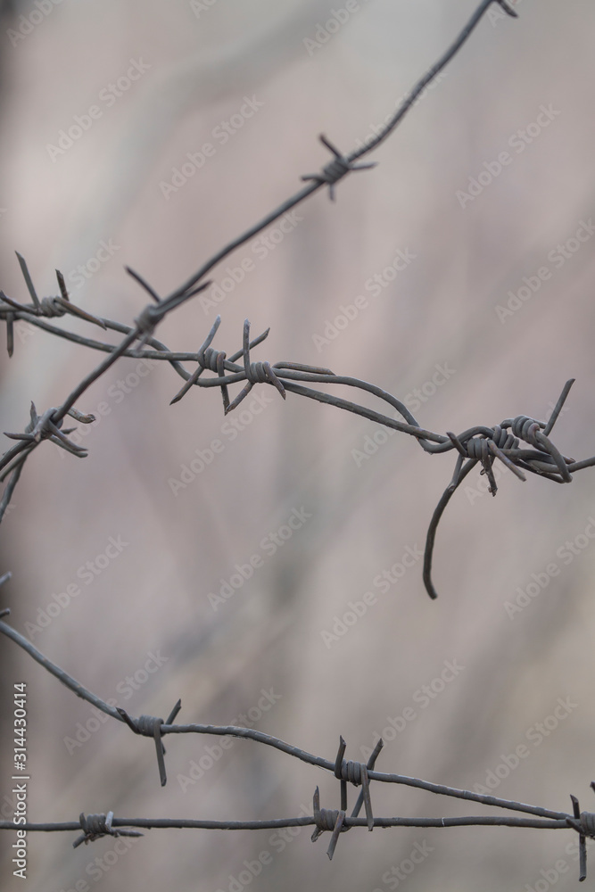 Barbed wire fragment. Barbwire near the jail. Fragment of a rusty barbed wire. Macro shot of an element of old and rusty barbed wire with a blurred background. Barbed wire fragment. Barbwire near the jail. Fragment of a rusty barbed wire. Macro shot of an element of old and rusty barbed wire with a blurred background.