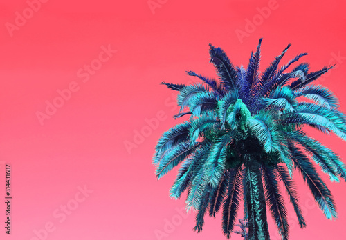 Pop Art Surreal Style Blue Palm Tree on Coral Pink Background with Copy Space
