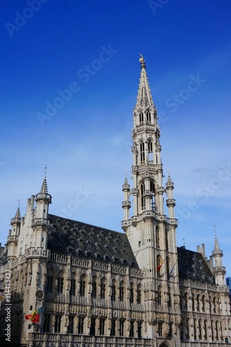 the cityhall of brussels  belgium