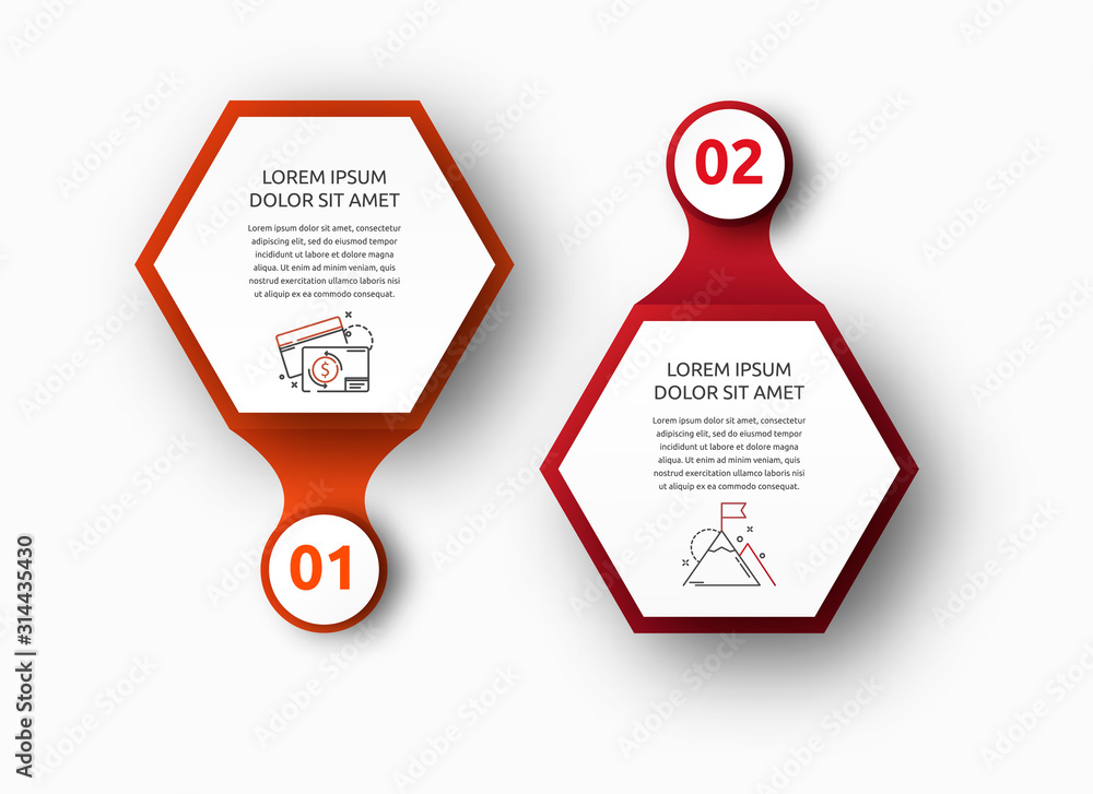 Vector infographic with 2 hexagons and circles. Used for two diagrams ...