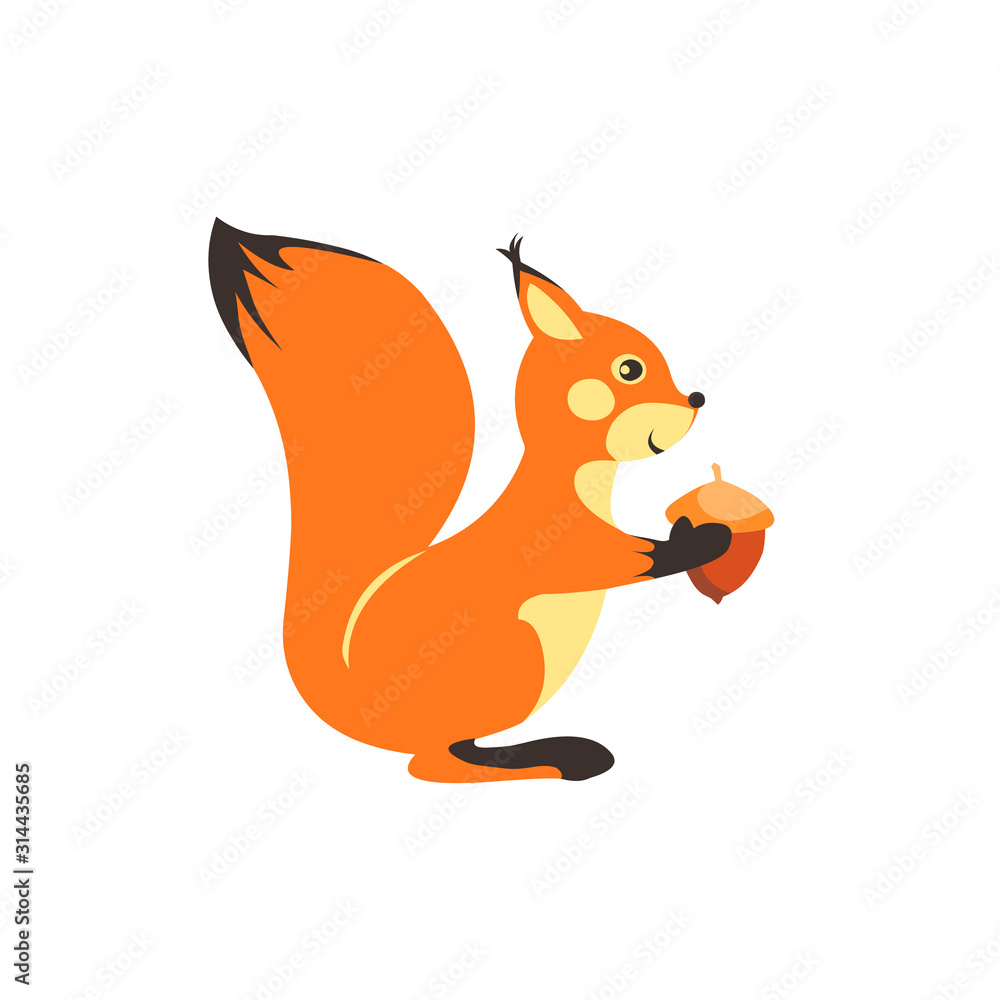 Obraz premium Squirrel with nut on white background.