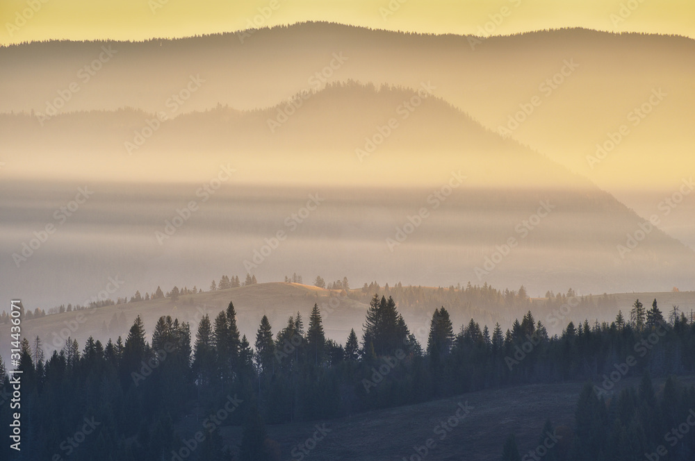 Fototapeta premium morning Carpathians. scenic sunrise in the mountains. autumn fog