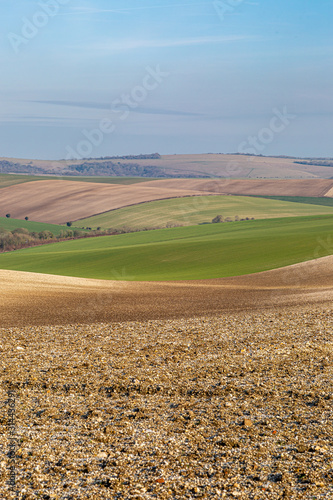 Patchwork fields in the South Downs in Sussex  on a sunny winters day