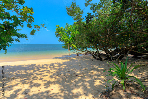 Thai tropical beach