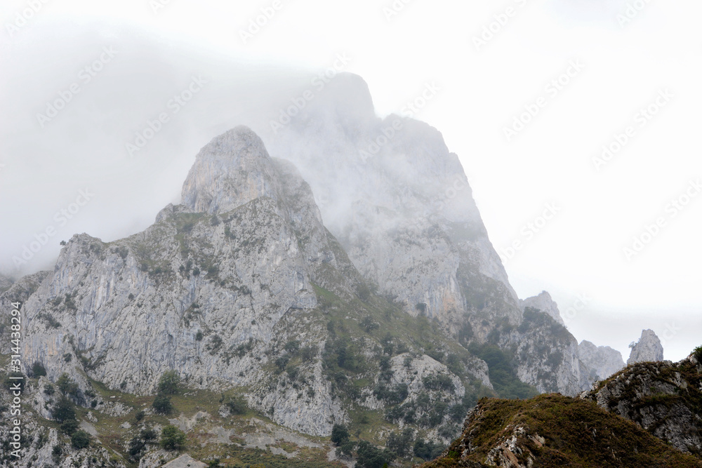 Obraz premium Montañas en el Parque Nacional de los Picos de Europa en Asturias