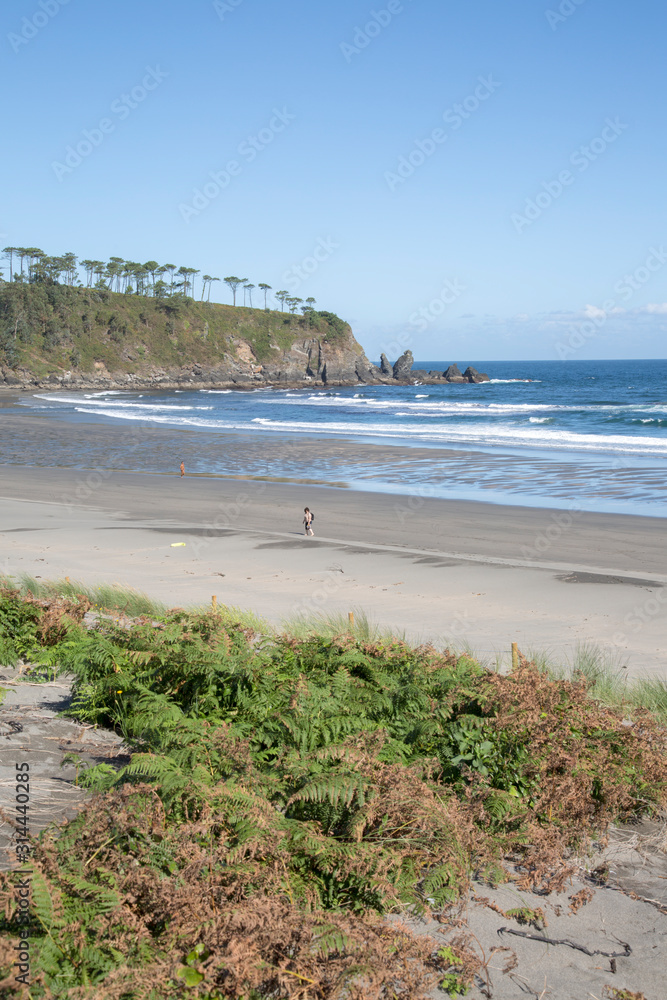 Ferns and Dune with People, Barayo Beach in Asturias