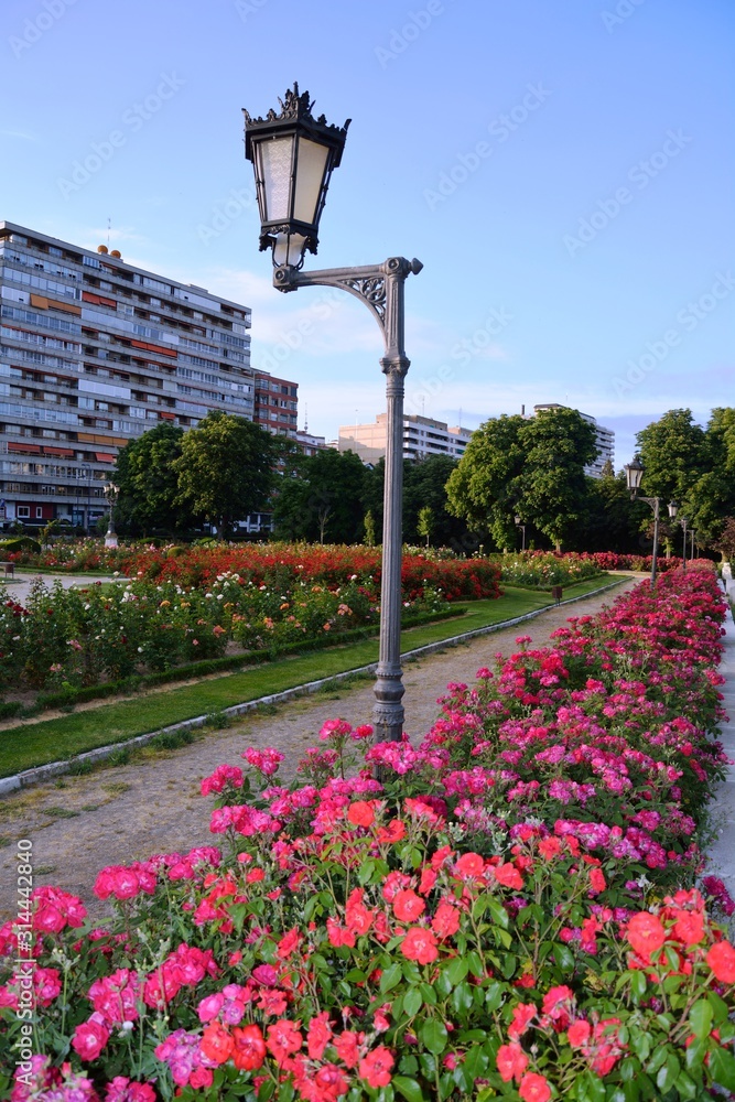 park in the city, a street lamp and buildings