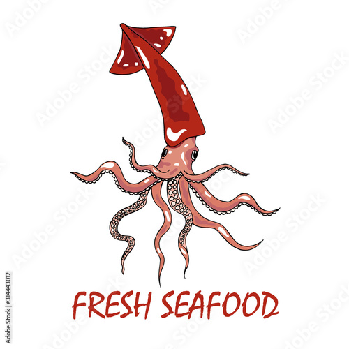 Свежий кальмар логотип. МFresh squid logo. Cartoon flat style clip art with bright colors. Premium quality seafood