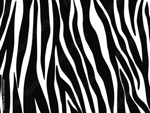 zebra skin texture