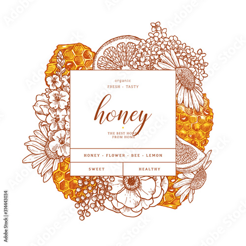 Honeycomb with citrus and flowers. Honey elements engraved vintage style. Packaging image. Vector illustration