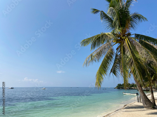 A beautiful sandy beach with palm trees on which green coconuts grow. White boats in a sea of blue and turquoise background a bright blue sky. Coast with large stones. Summer sunny weather.