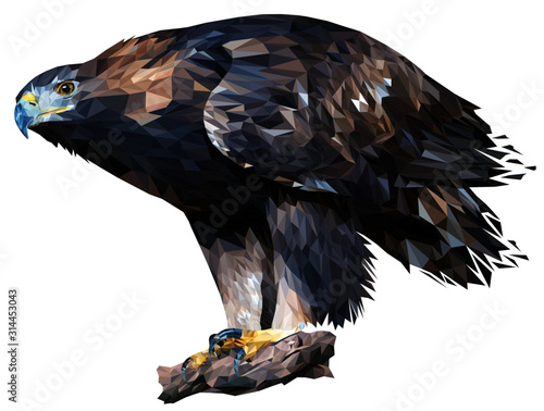 Golden eagle stands on a stone leaning forward. A bird of prey peers into the distance. Vector. Polygonal graphics.