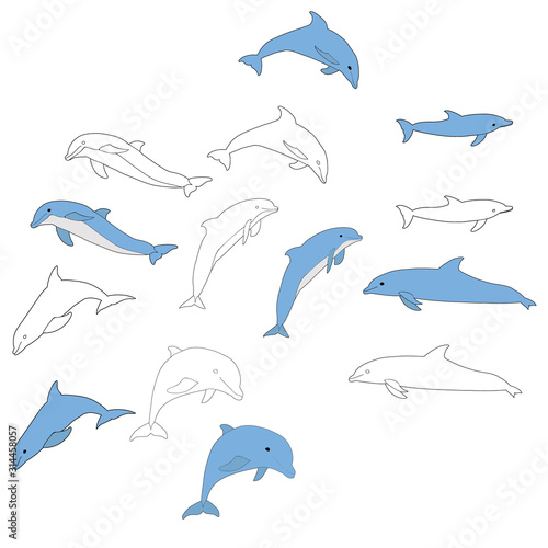 set of dolphin coloring book