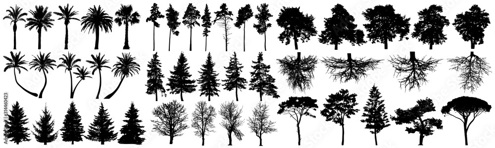 Trees silhouette vector set. Isolated on white background Stock Vector ...