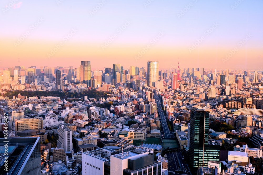 Fototapeta premium 東京の風景