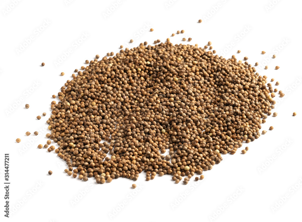 Coriander seed isolated on white background. Coriander seed isolated on white background.