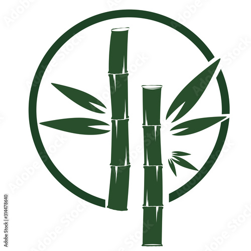 Template design logo bamboo Vector illustration of icon