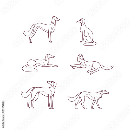 Cartoon dog icon set. Different poses of greyhound. Vector illustration for prints, clothing, packaging, stickers.