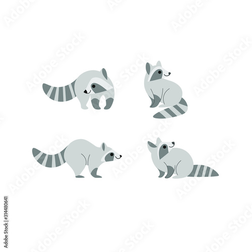 Cartoon raccoon icon set. Different poses of cartoon polar fox. Vector illustration for prints, clothing, packaging, stickers.