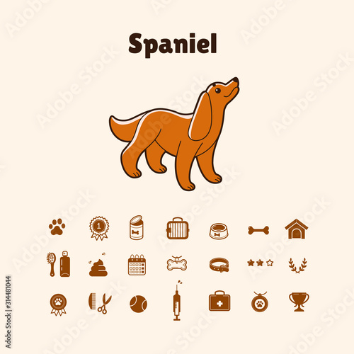 Spaniel cartoon character. Cute dog with icon set. Vector illustration in cartoon style for poster, postcard. 