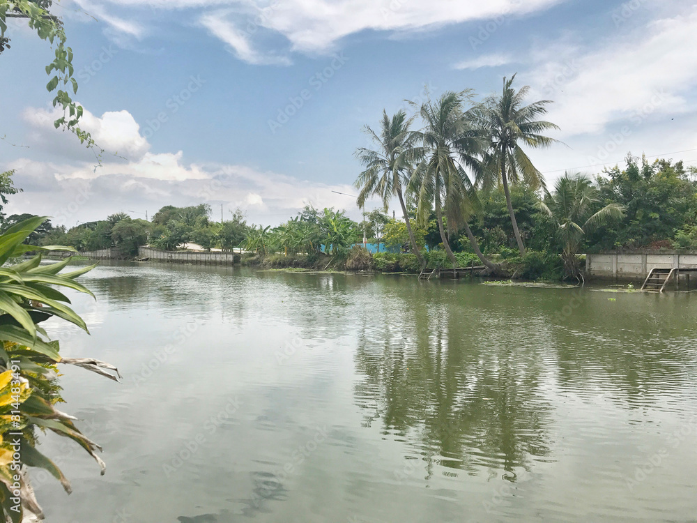 Obraz premium Beautiful scene of river with reflection of coconut tree and blue sky background