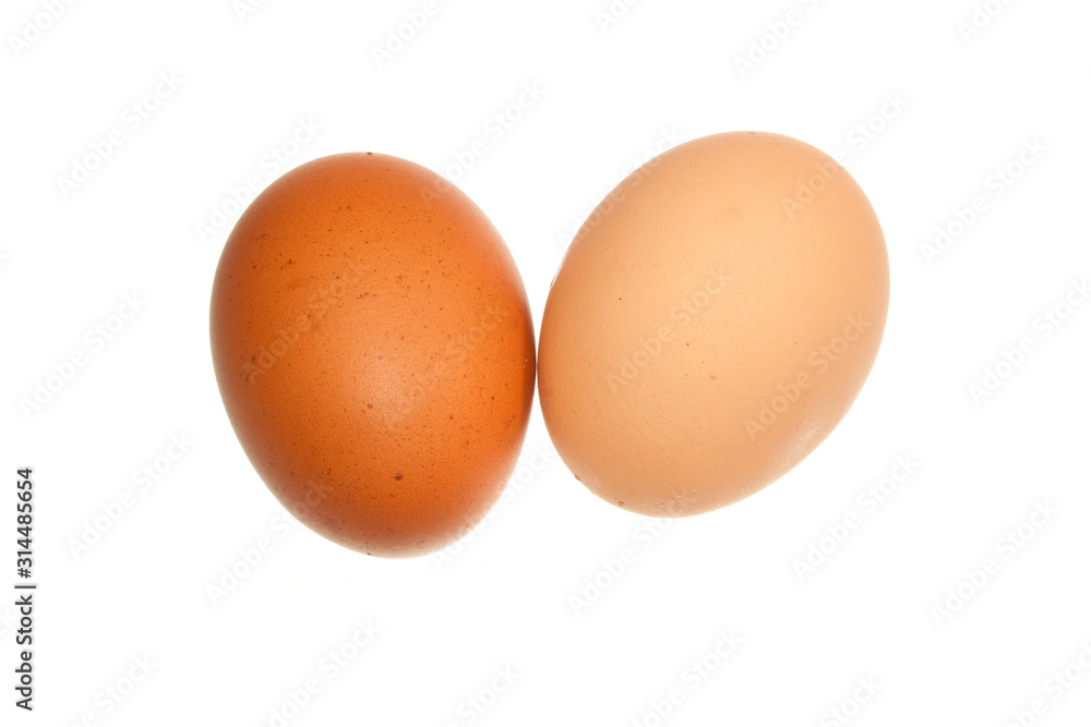 chicken egg isolated on white background chicken egg isolated on white background