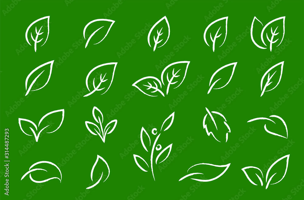 green eco set of hand drawn leaf icons Stock Vector | Adobe Stock