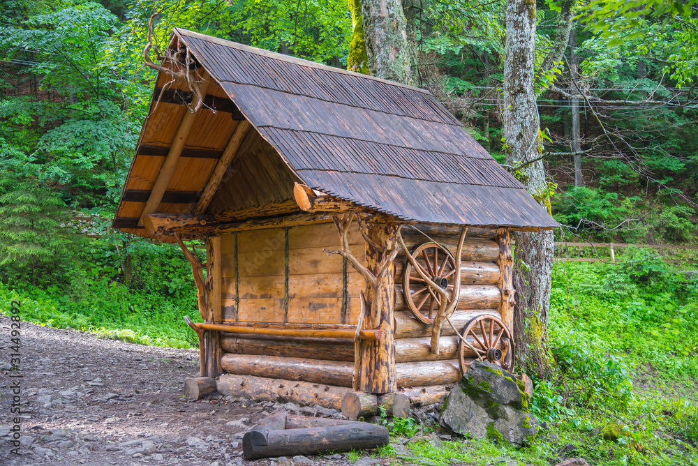 Carpathian forest in summer Carpathian forest in summer