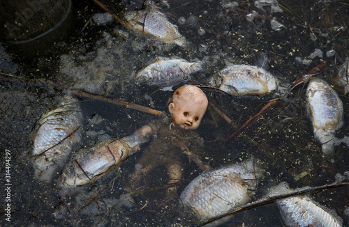 Symbolic image of the abandoned baby doll floating in the middle of group of dead fish in the water photo