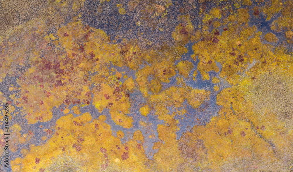 Aerial view over peat-bog landscape with the complex lake and  pool ridge patterns. Estonia is 2nd most boggy country in Europe. Peatland are important as pool of biodiversity and CO2 deposit.