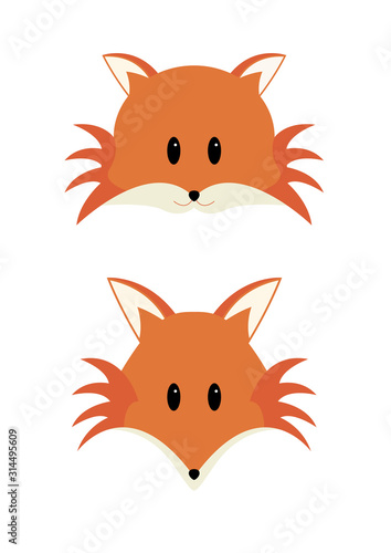 Renardeau et renard
