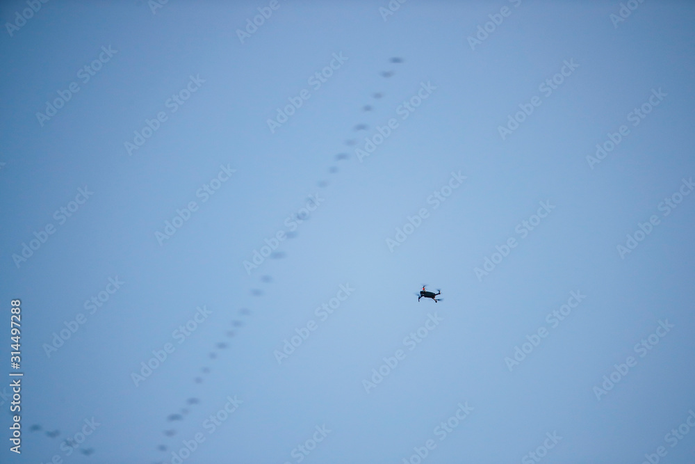 Consumer drone on flight in air with the migratory crane flock in the background Consumer drone on flight in air with the migratory crane flock in the background