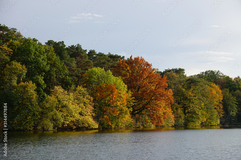 Bäume im Herbst am See